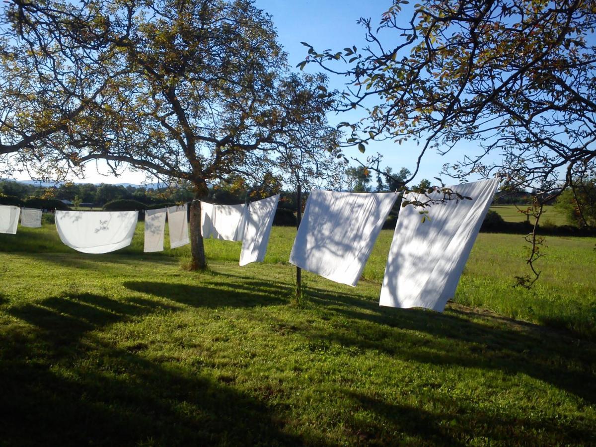 Domaine Du Peyron Bed and Breakfast Quintenas Buitenkant foto
